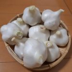 お家で黒にんにくを作る|準備から1日目