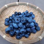 ブルーベリーの収穫とブルーベリーの挿し木の方法　